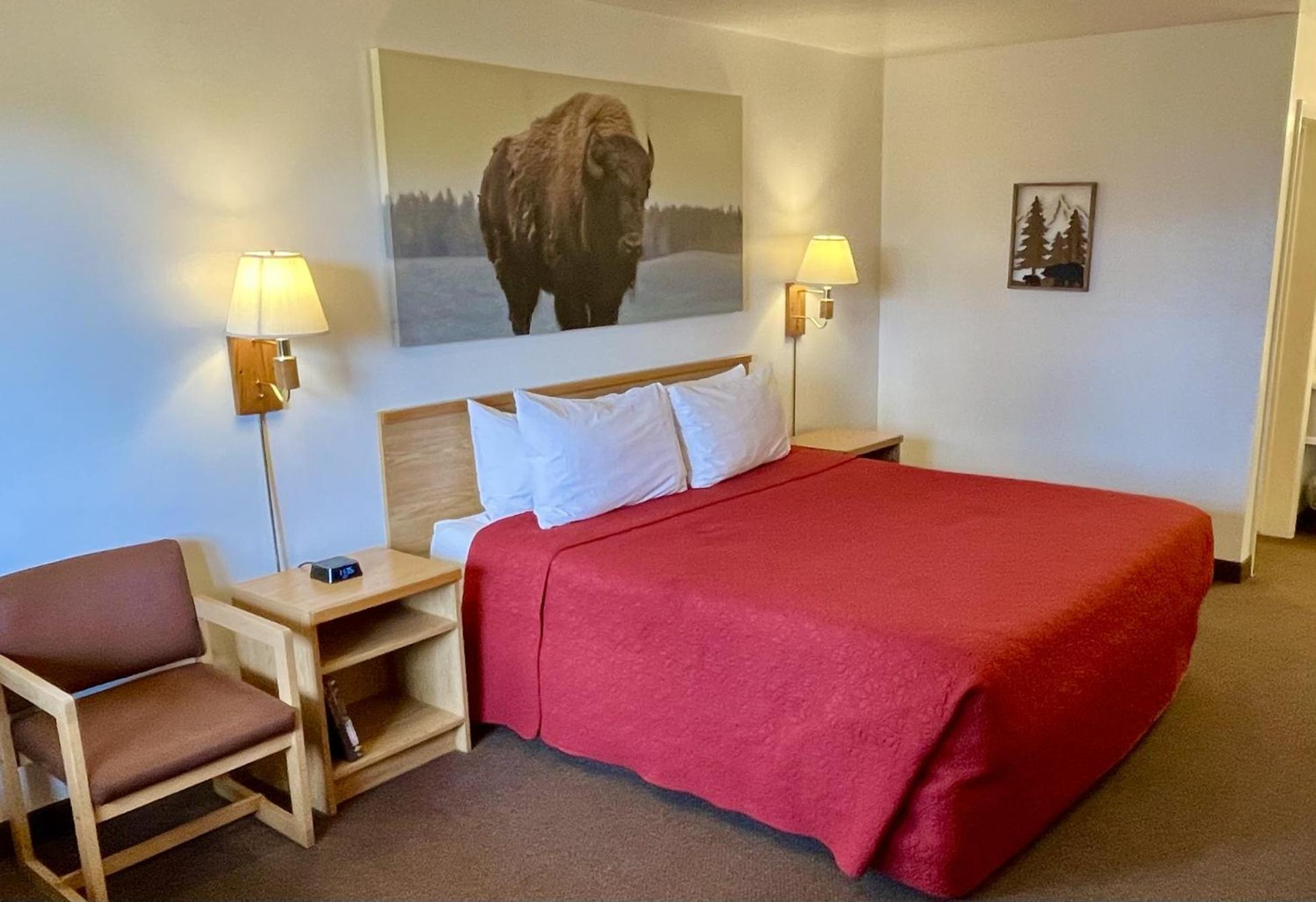 Red Bear Inn إنيس المظهر الخارجي الصورة