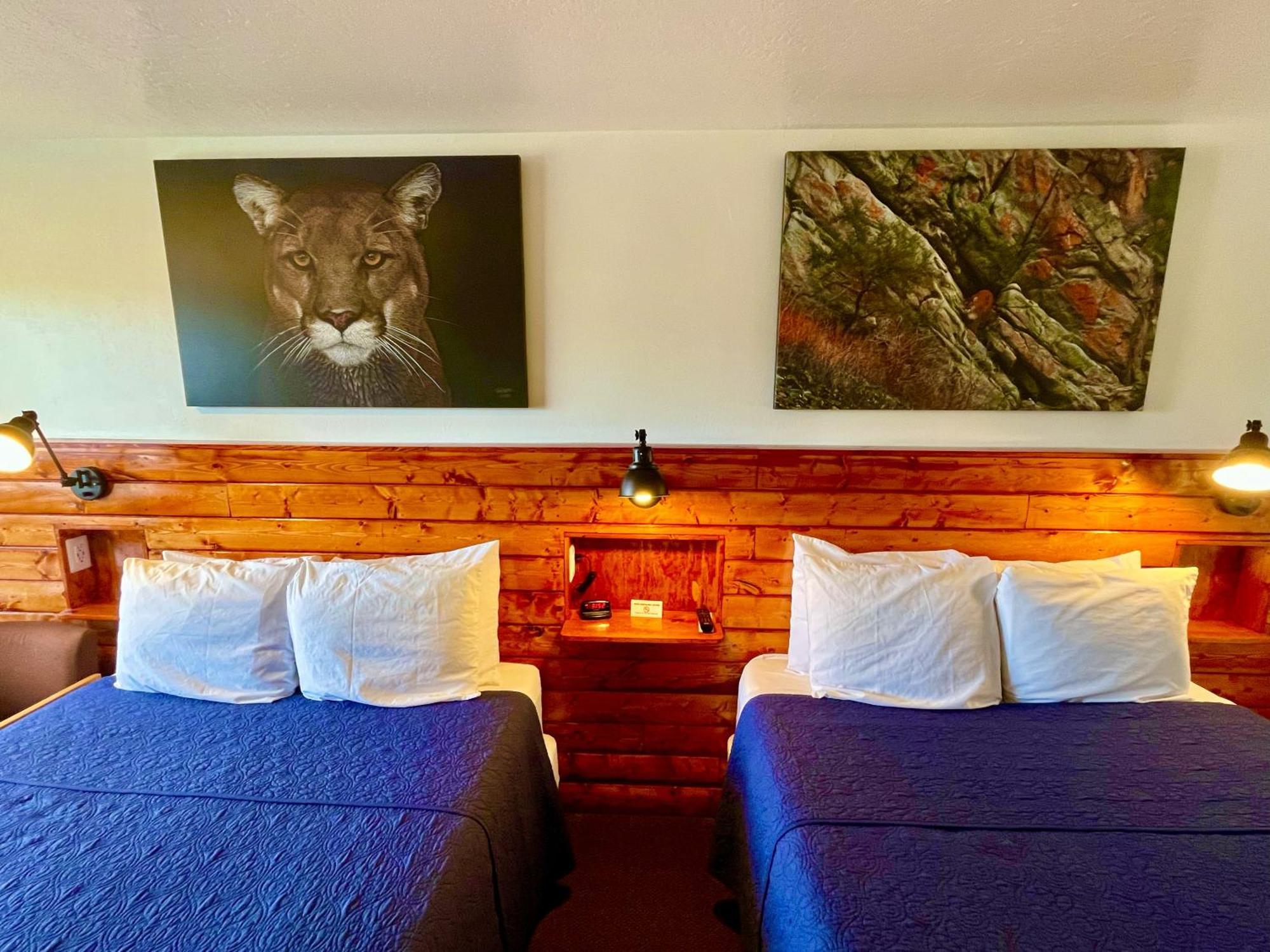 Red Bear Inn إنيس المظهر الخارجي الصورة