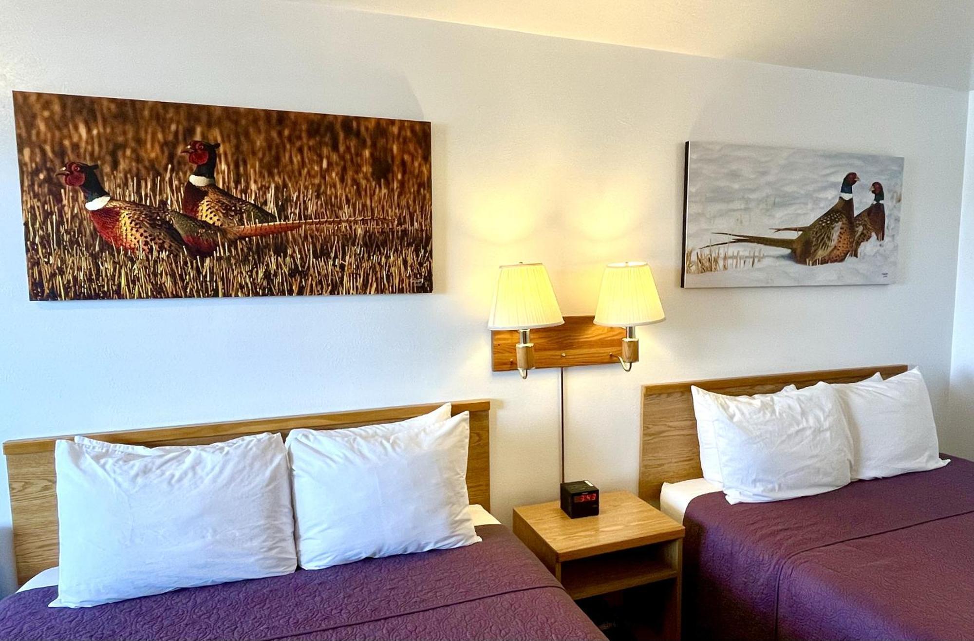 Red Bear Inn إنيس المظهر الخارجي الصورة