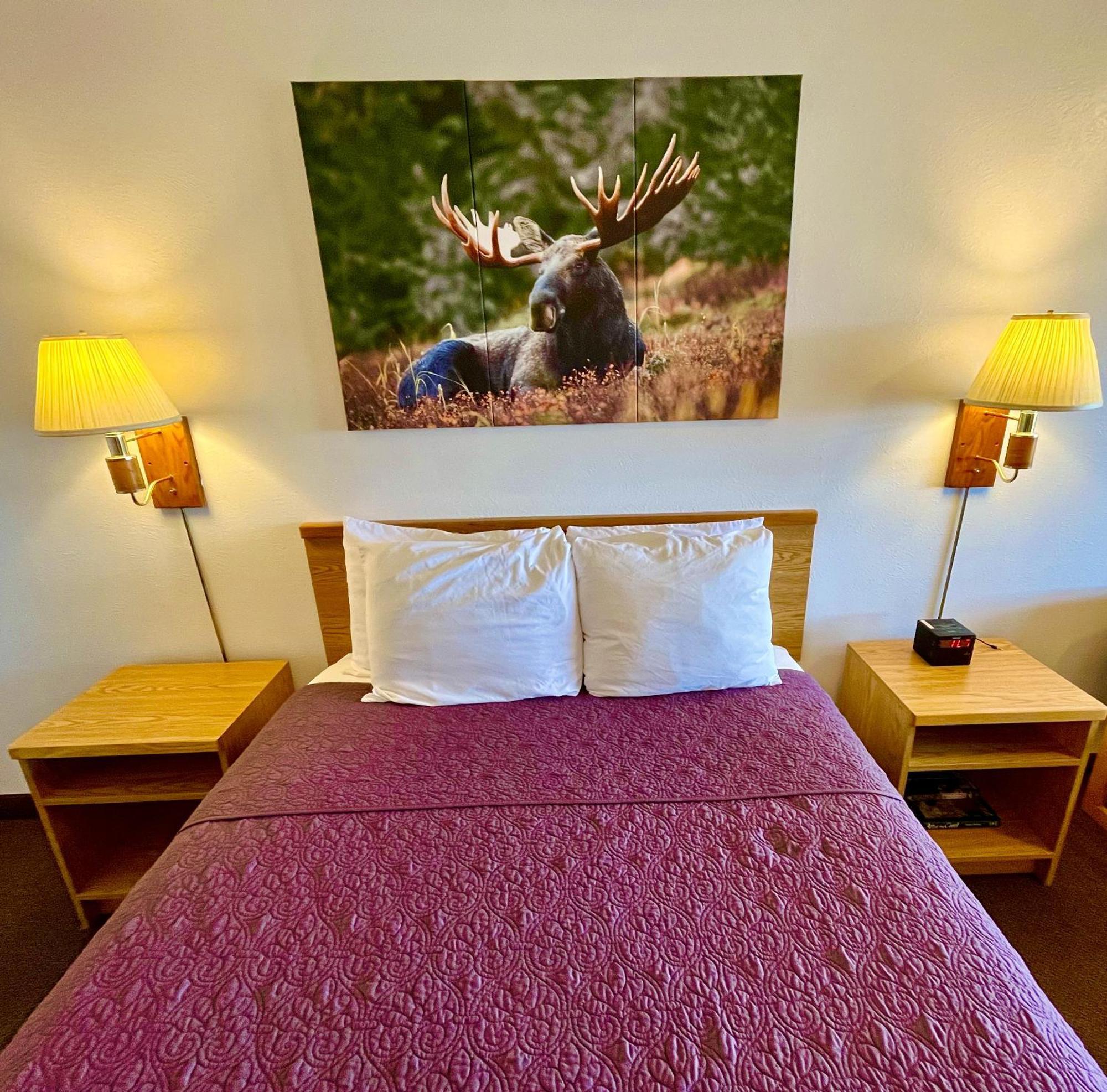 Red Bear Inn إنيس المظهر الخارجي الصورة