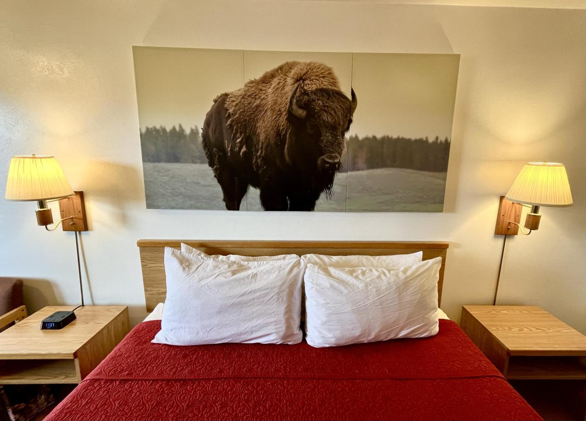Red Bear Inn إنيس المظهر الخارجي الصورة