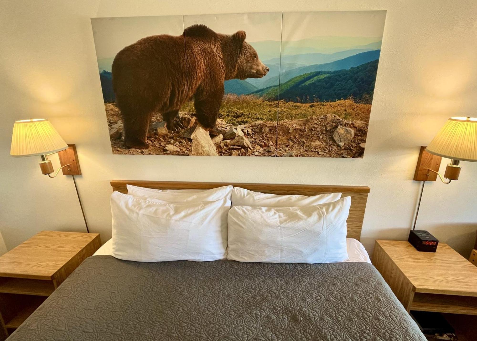 Red Bear Inn إنيس المظهر الخارجي الصورة